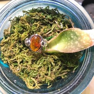 Sterling silver amber ring